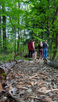 Story wandeling.png